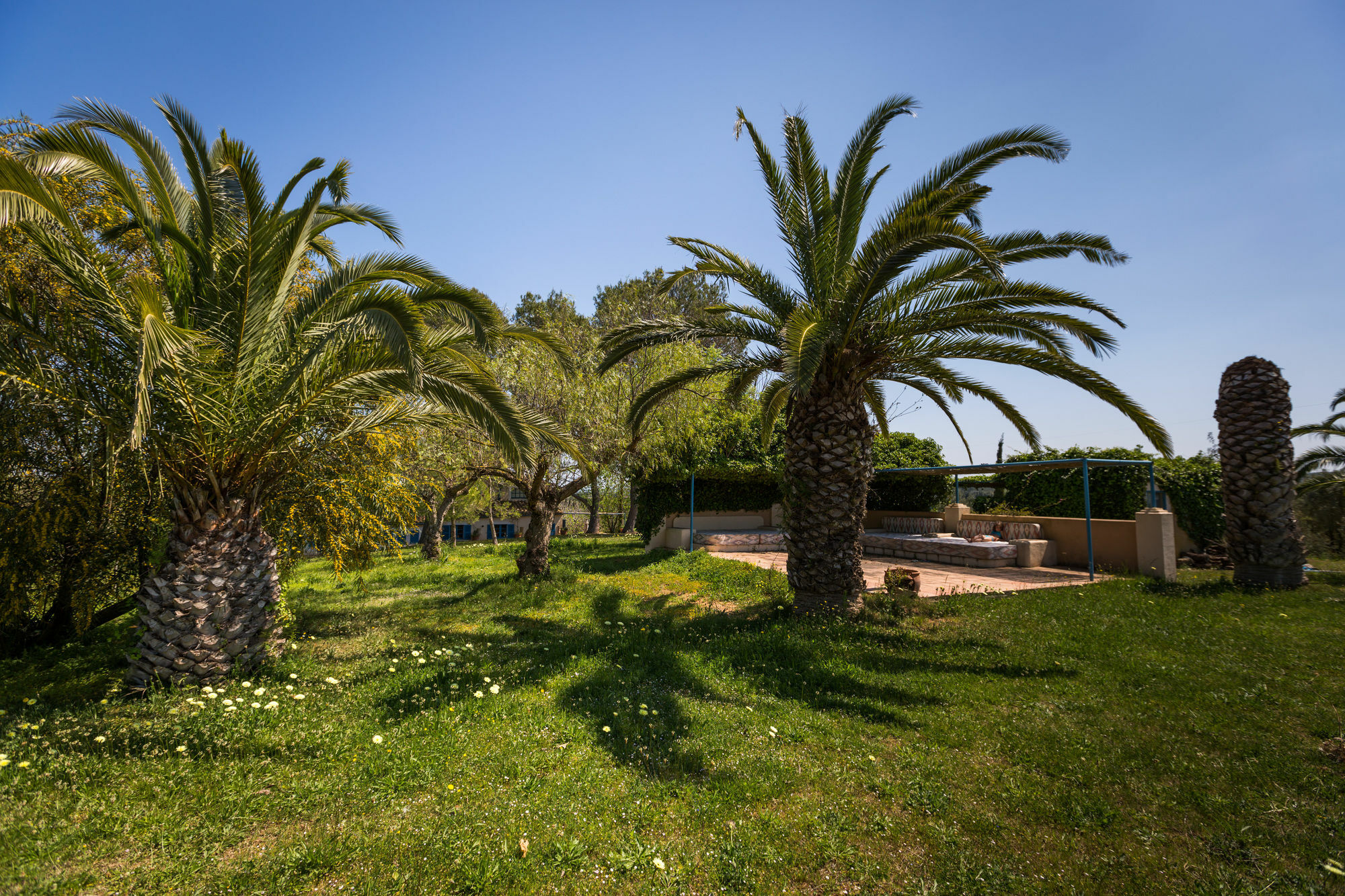 Finca Son Miranda - La Organic Sencelles Exterior foto